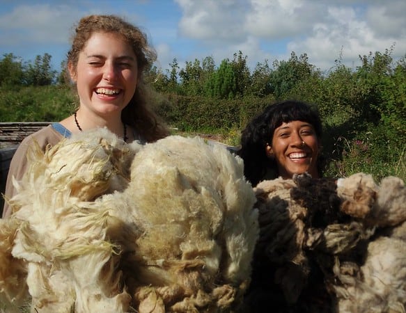 women with sheep sheerings